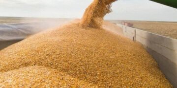 МХП завершил уборку урожая с 330 тыс. га и получил 2 млн тонн