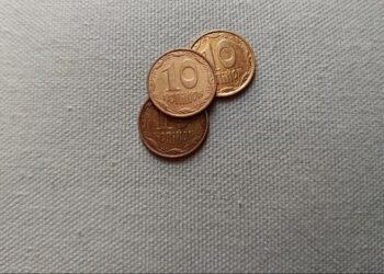 Рада намерена изменить название разменной монеты «копейка» на «шаг»