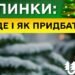 Штрафы за незаконную рубку елок перед новогодними праздниками повышены втрое — «Леса Украины»