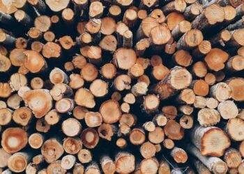 ПФУ профинансировал денежную выплату на приобретение твердого топлива для почти 9 тыс. семей из ВПЛ