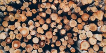 Цена на дрова для населения и соцсферы до конца отопительного сезона не изменится — «Леса Украины»