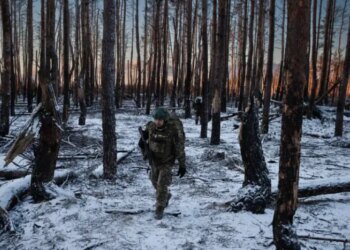 Россияне накапливаются в Серебрянском лесу и пытаются обойти Дроновку
