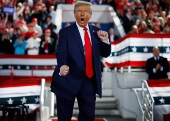 Европа стягивает войска в Гренландию, а Трамп положил глаз на еще один остров, — Politico