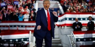 Европа стягивает войска в Гренландию, а Трамп положил глаз на еще один остров, — Politico