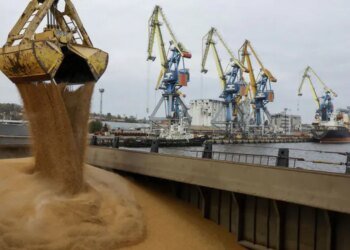 Россияне вывезли более двух миллионов тонн украинского зерна под видом «российского» за границу