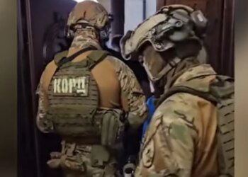 Депутата Закарпатского облсовета и лесника будут судить за сбыт древесины почти на 2 млн грн. ВИДЕО