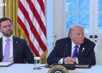 Ловушка 25-й поправки: историк предупредил о «страшном преемнике» в Белом доме