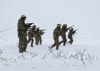 Украинцы были ошеломлены»: как опыт наших воинов заставил британских офицеров бегать по портам за сетками