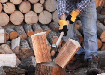 Рекордный спрос на дрова: украинцы за день купили 8000 кубометров