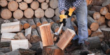 Рекордный спрос на дрова: украинцы за день купили 8000 кубометров