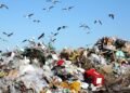 Новые правила для мусора: Кабмин обновил механизмы управления отходами
