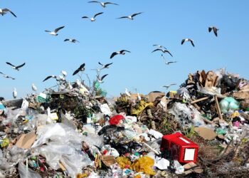 Новые правила для мусора: Кабмин обновил механизмы управления отходами