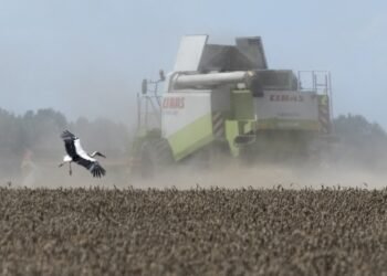 Рынок земли. Минэкономики рассказало, в каких регионах самые дорогие и самые дешевые участки