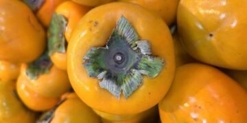 Украина в 2025 году увеличила импорт популярного фрукта из Азербайджана на 40%