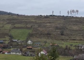 АРМА продало 460 га в Карпатах, на которых Каськив и Левочкин хотят строить курорт