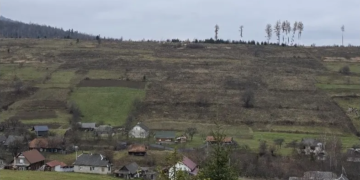 АРМА продало 460 га в Карпатах, на которых Каськив и Левочкин хотят строить курорт