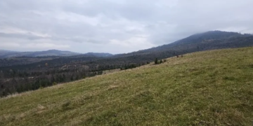 Продажа земли на полонине Боржава. АРМА проверит победителей аукционов