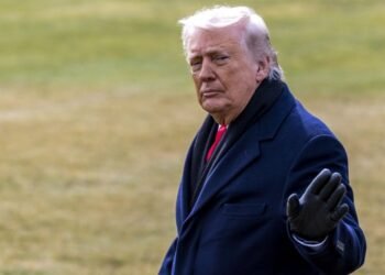 Трамп купил облигации Netflix и Warner Bros. через несколько недель после их заявления о слиянии