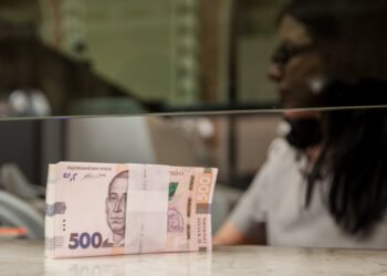 НБУ зафиксировал резкий рост количества наличных денег в обращении в 2025 году: причины