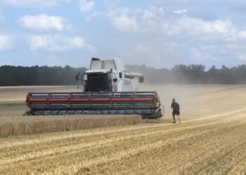 Аграрии получат от государства компенсацию за поврежденные посевы на прифронтовых территориях