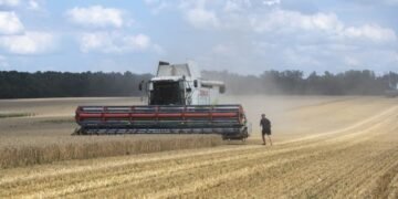 Аграрии получат от государства компенсацию за поврежденные посевы на прифронтовых территориях