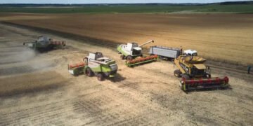 Агрохолдинг Тигипко покупает элеватор у Kernel