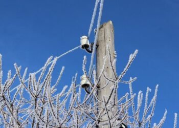 Кабмин утвердил единовременную выплату 7,5-15 тыс. грн социально важным ФЛП и кредиты на энергооборудование по «5-7-9» под 0%