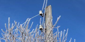 Кабмин утвердил единовременную выплату 7,5-15 тыс. грн социально важным ФЛП и кредиты на энергооборудование по «5-7-9» под 0%