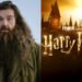 Ник Фрост написал имя «Хагрид» 7000 раз, чтобы получить роль в сериале «Гарри Поттер»