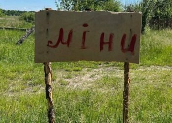 Демайнеры в декабре 2025 г. разминировали более 3 тыс. га сельхозугодий