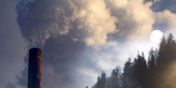 Заявки на участие в программе привлечения инвестиций в проекты по сокращению выбросов можно подать до 30 января — Минэкономики