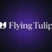Flying Tulip залучила понад $25 млн у межах приватного токенсейлу