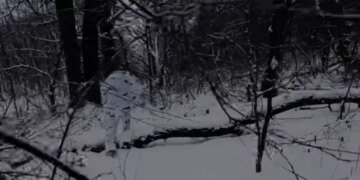 Легион «Свобода России» тихо зашел на 7 км в тыл оккупантов и наделал шума. ВИДЕО