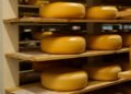 Доля импортных сыров в Украине выросла до 45% – производители просят защитить рынок