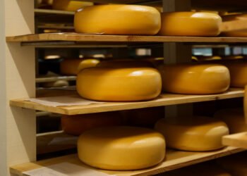 Доля импортных сыров в Украине выросла до 45% – производители просят защитить рынок