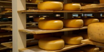 Доля импортных сыров в Украине выросла до 45% – производители просят защитить рынок