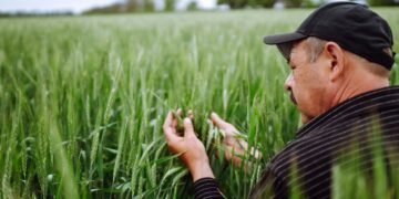 Украинский агроэкспорт: доля ЕС сократилась, растут поставки в Азию и Африку