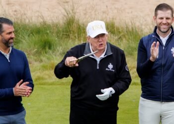 Член королевской семьи ОАЭ оказался совладельцем криптостартапа семьи Трампа