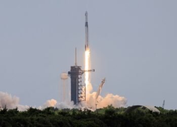 Маск хочет объединить SpaceX с xAI, потому что ИИ-компания дорого обходится – Bloomberg