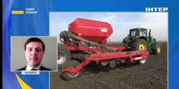 Большинство озимых в Украине находится в удовлетворительном состоянии, пересева могут потребовать менее 10% площадей — Высоцкий