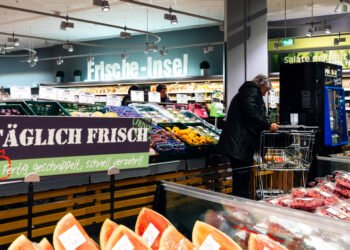 «Это прорыв. Евросоюз запустил ИИ-инструмент для усиления контроля безопасности пищевых продуктов