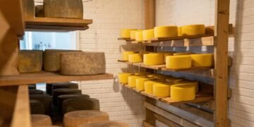 Польские поставщики готовы активно демпинговать украинский рынок сыра – Инфагро