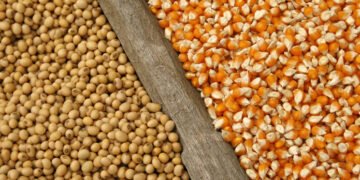 Хамон с украинским акцентом. Как украинские аграрии выигрывают от ссоры Трампа с Испанией