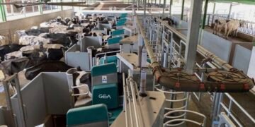 В Киевской области построят крупнейшую в мире роботизированную ферму