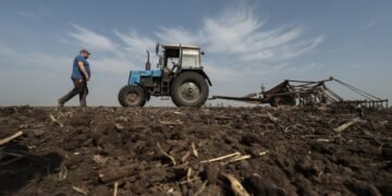 Небанковские финучреждения будут выдавать кредиты фермерам под гарантии государства – список