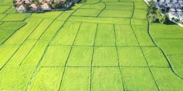 В Украине дорожает земля под застройку и сельское хозяйство