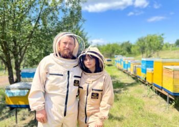 Пасека после фронта. Ветеран восстанавливает семейное дело и готовится экспортировать мед