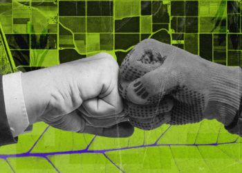 Финансирование для агросектора. Как украинским компаниям получить инвестиции от фонда Food4Impact