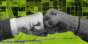 Финансирование для агросектора. Как украинским компаниям получить инвестиции от фонда Food4Impact