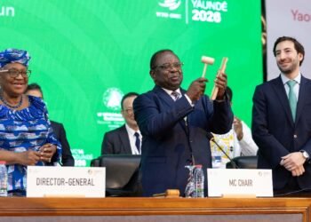 ВТО не смогла продлить 28-летний мораторий, который запрещал пошлины на цифровые услуги